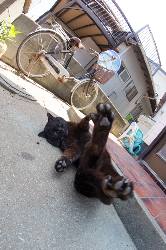 f:id:fubirai:20130517213928j:image