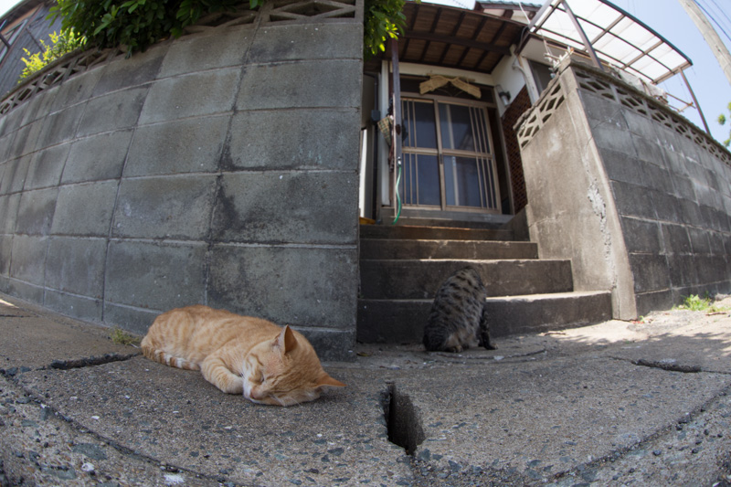 f:id:fubirai:20130521224042j:image