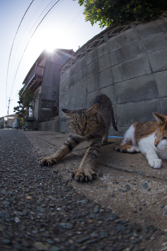 f:id:fubirai:20130622230427j:image