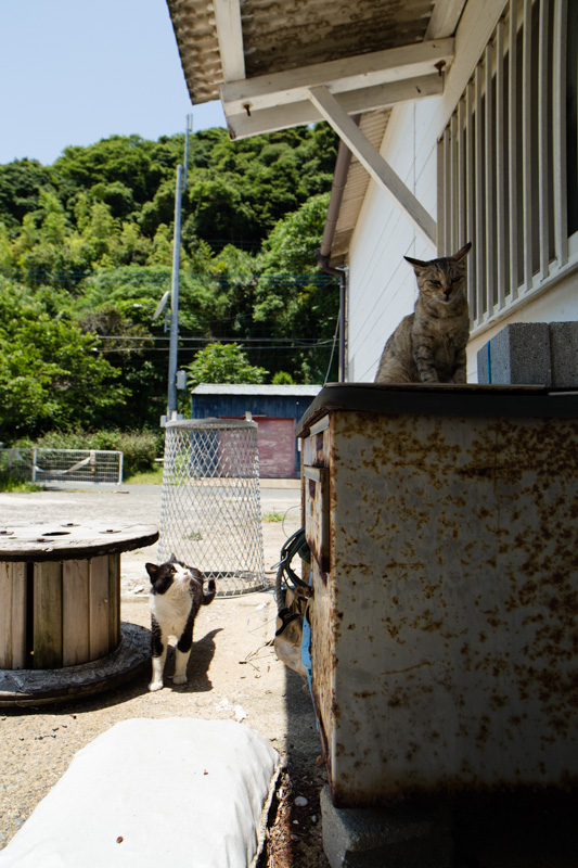 f:id:fubirai:20130624225243j:image