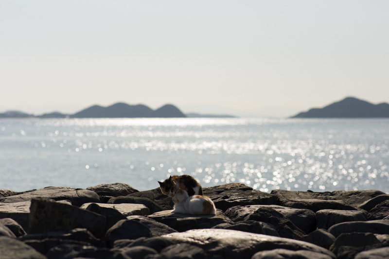 f:id:fubirai:20130712221046j:image