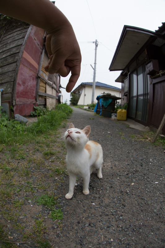 f:id:fubirai:20130716231208j:image