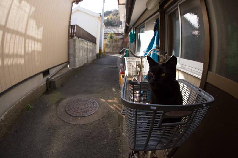 f:id:fubirai:20130726222930j:image
