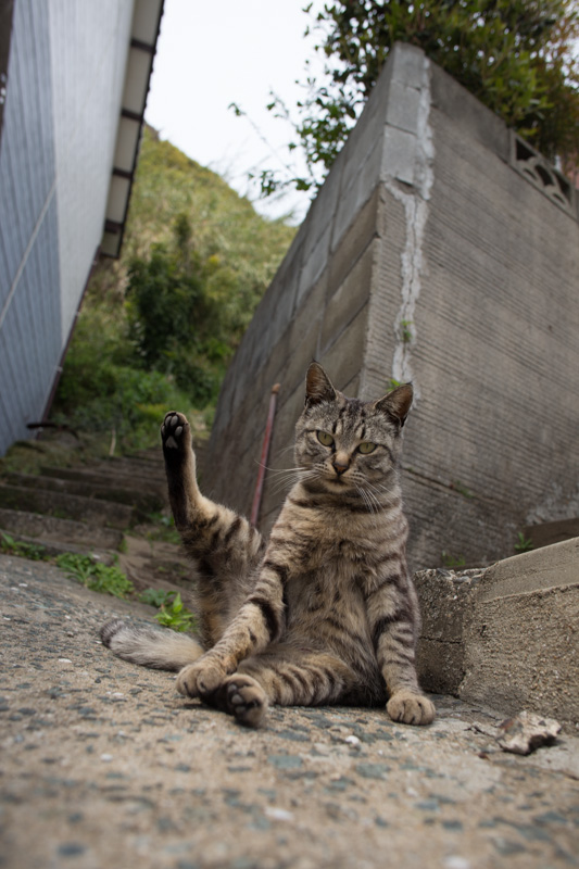 f:id:fubirai:20130726222933j:image