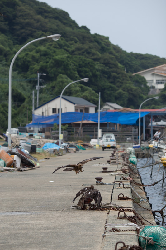 f:id:fubirai:20130730222932j:image