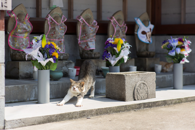f:id:fubirai:20130819231947j:image