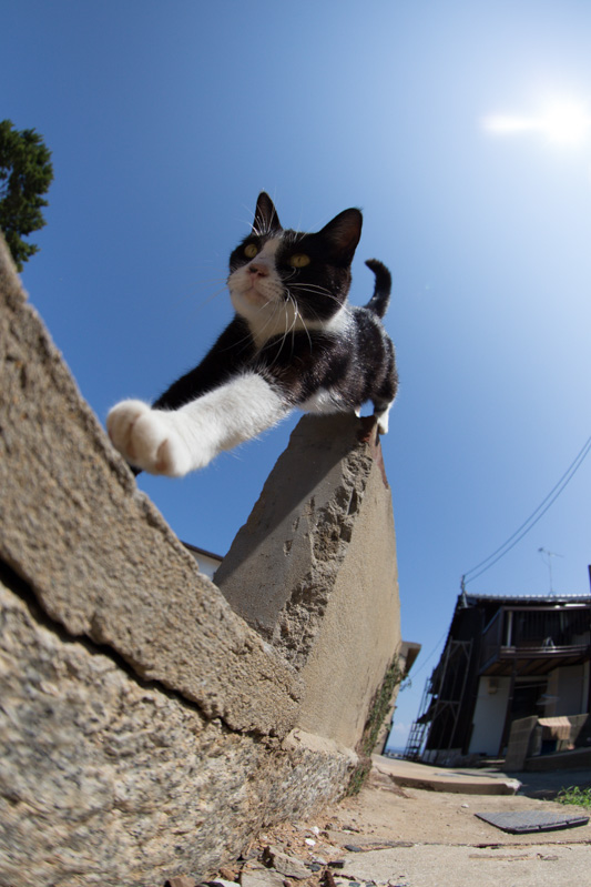 f:id:fubirai:20130827224902j:image