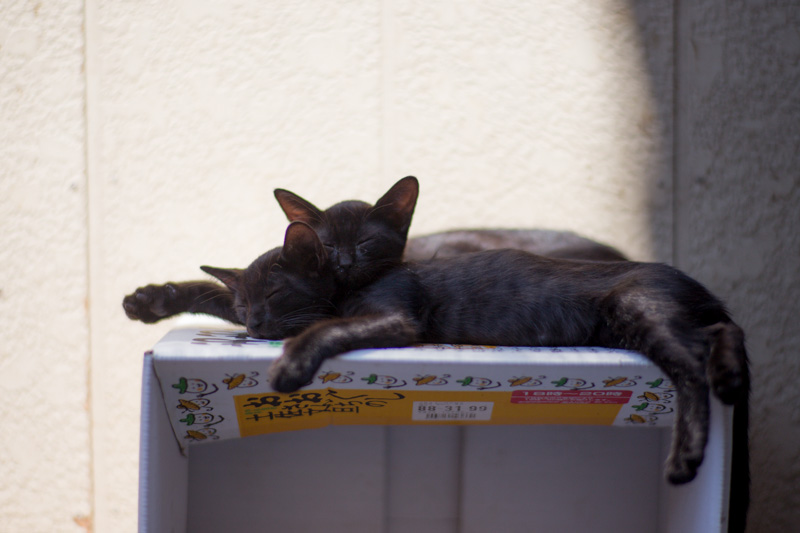 f:id:fubirai:20130910232032j:image