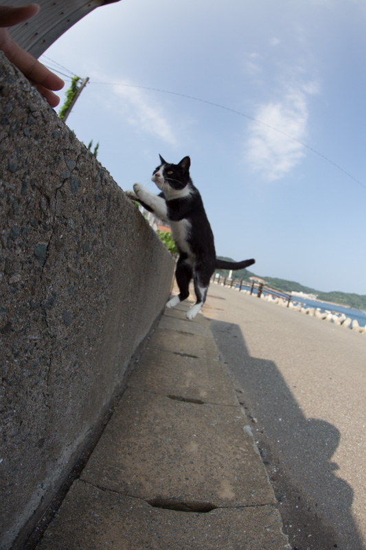 f:id:fubirai:20130916233004j:image