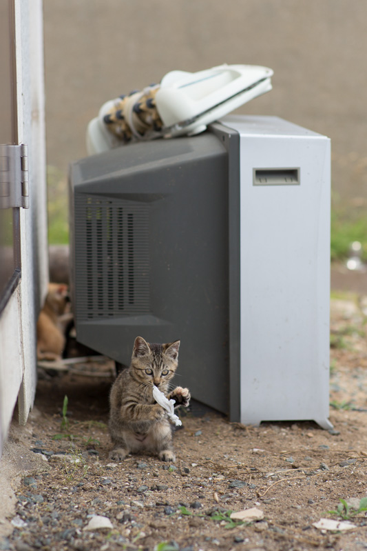 f:id:fubirai:20130922233837j:image