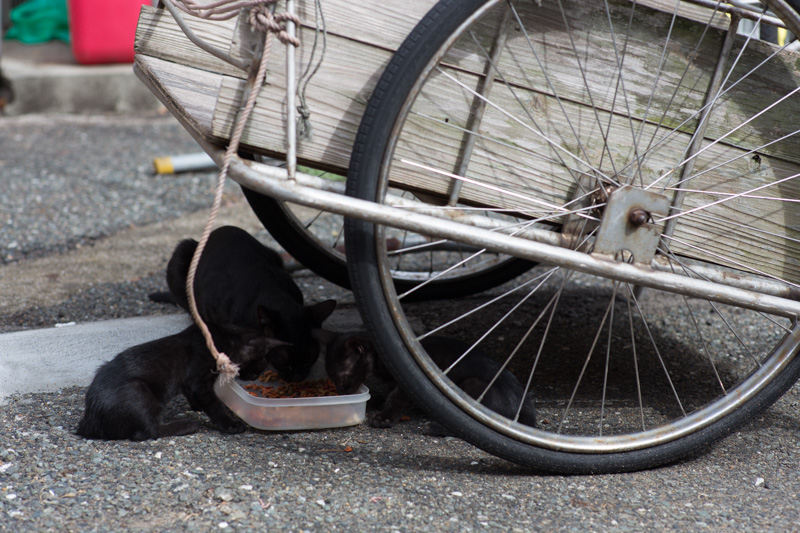 f:id:fubirai:20131004230432j:image