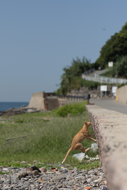 f:id:fubirai:20131004230456j:image