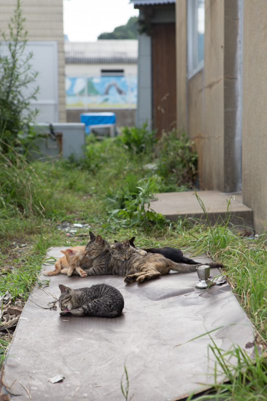 f:id:fubirai:20131004230505j:image