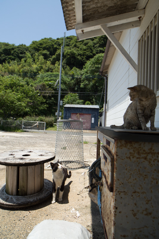 f:id:fubirai:20131012233202j:image