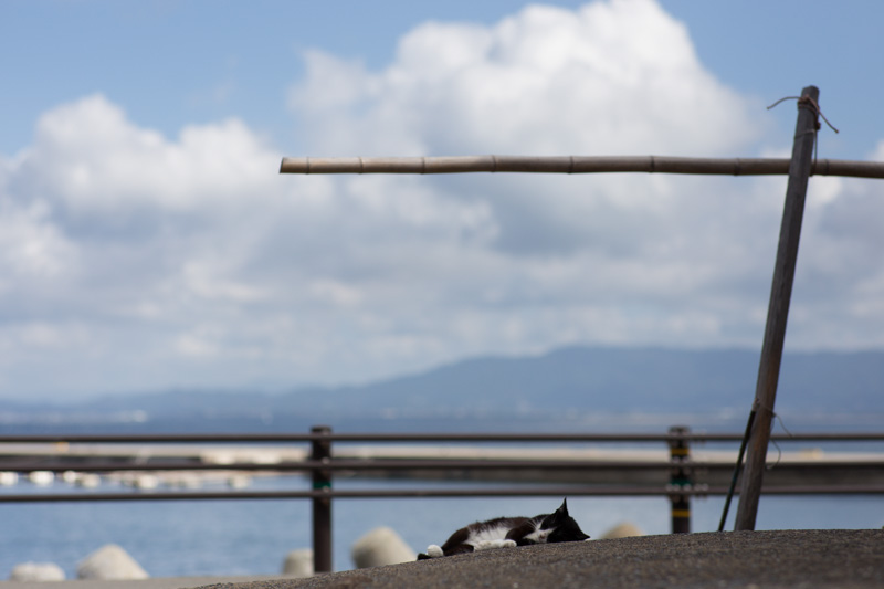 f:id:fubirai:20131024222745j:image