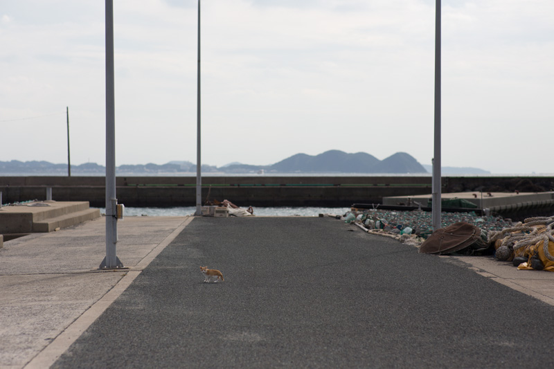 f:id:fubirai:20131123230801j:image