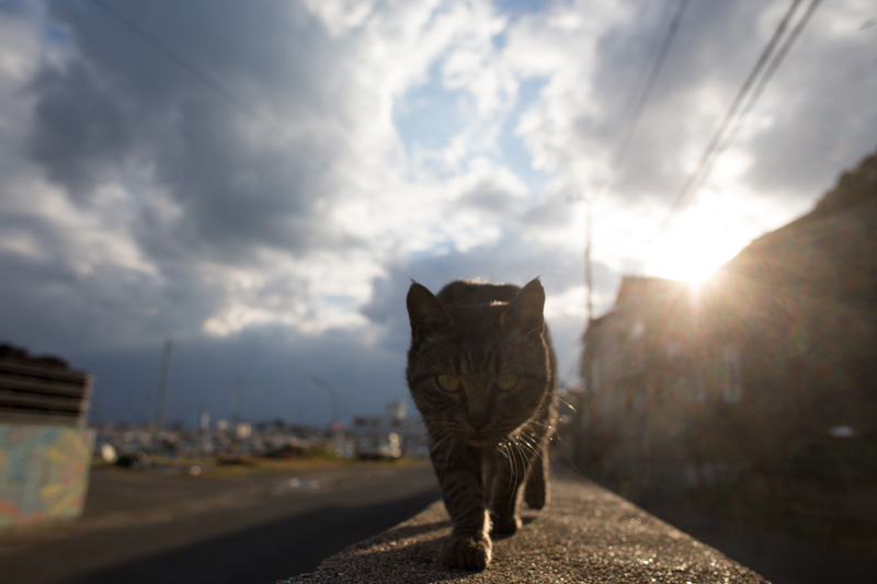 f:id:fubirai:20131205231019j:image