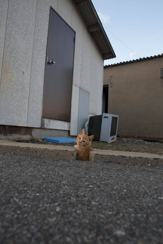 f:id:fubirai:20131227215022j:image