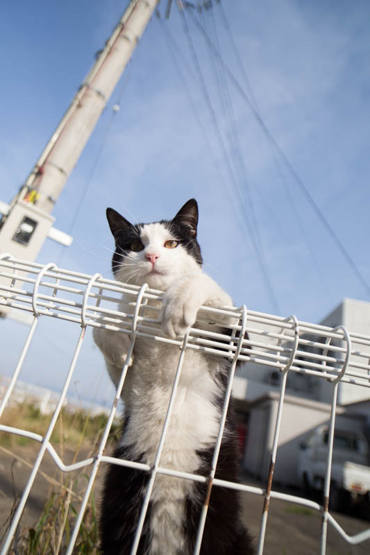 f:id:fubirai:20140415225730j:image