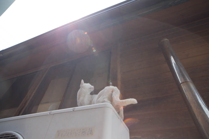 f:id:fubirai:20140628225003j:image