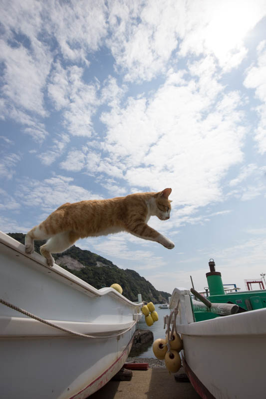 f:id:fubirai:20140921221020j:image