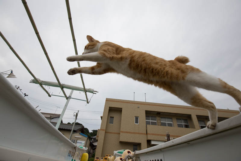 f:id:fubirai:20140921221023j:image
