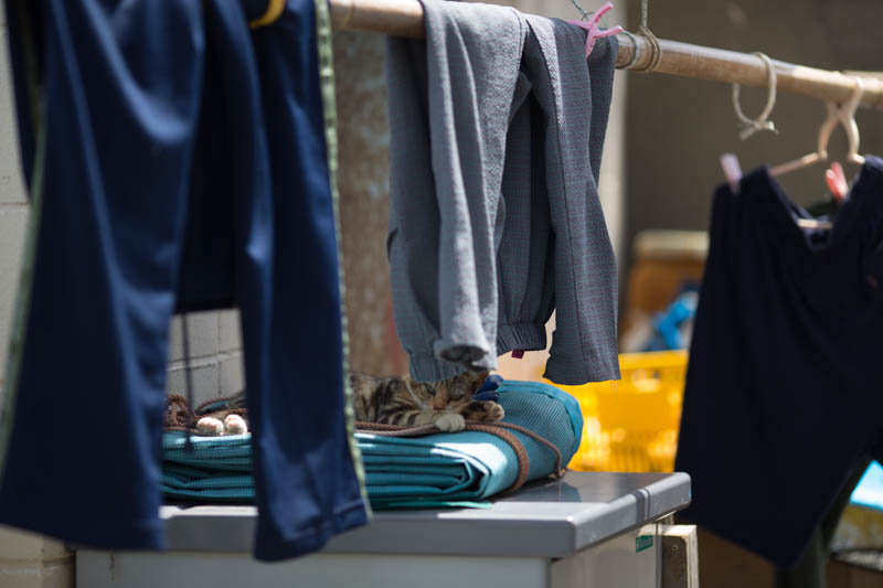 f:id:fubirai:20141128223207j:image