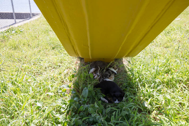 f:id:fubirai:20141128223210j:image