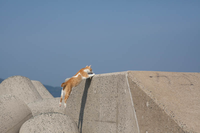 f:id:fubirai:20150109233000j:image