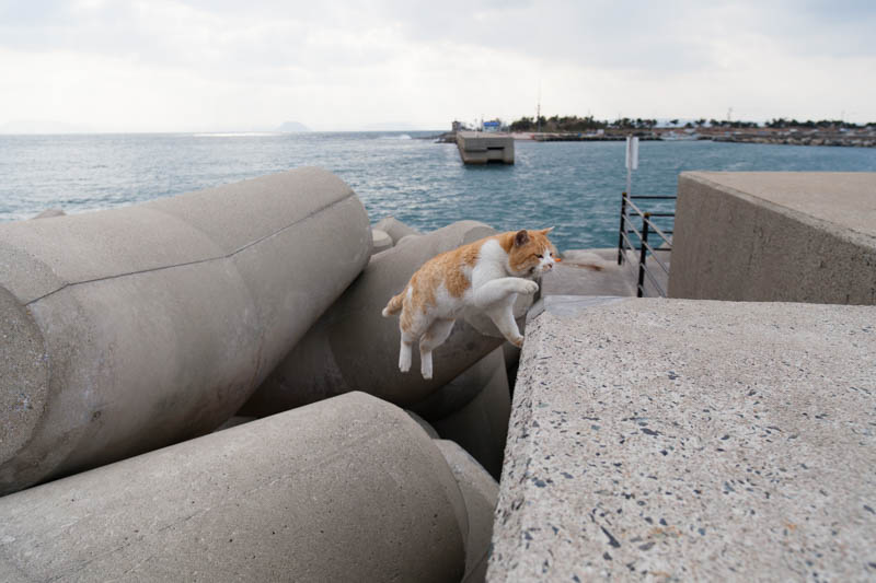 f:id:fubirai:20150109233030j:image