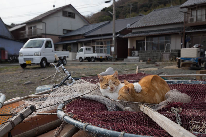 f:id:fubirai:20150302232541j:image