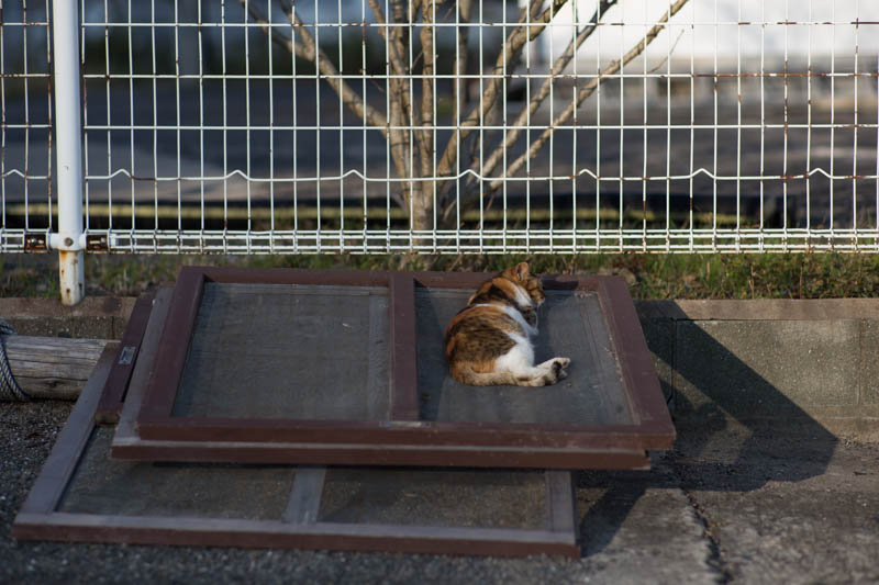 f:id:fubirai:20150302232601j:image