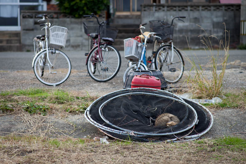 f:id:fubirai:20150304231203j:image