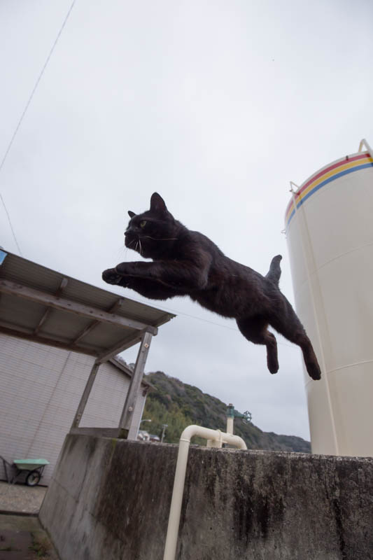 f:id:fubirai:20150328215847j:image