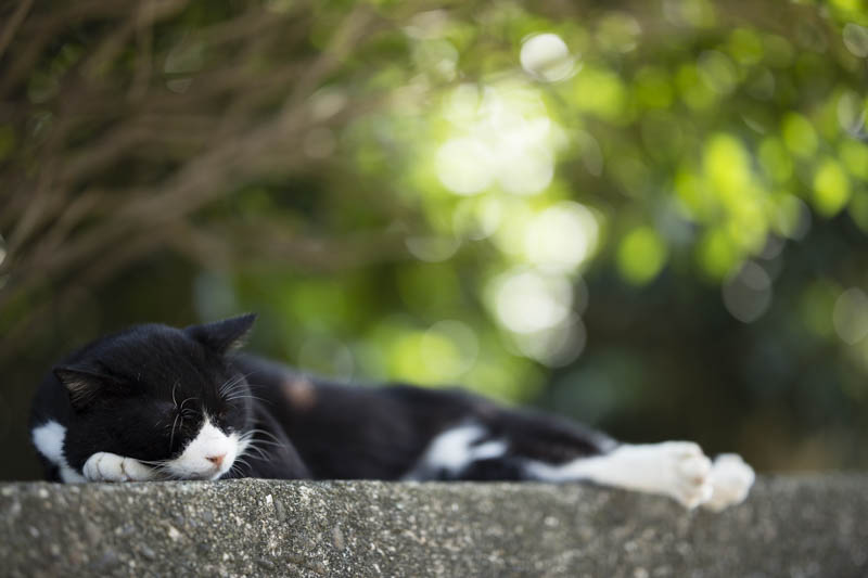 f:id:fubirai:20150904215512j:image