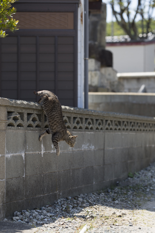 f:id:fubirai:20150910232029j:image