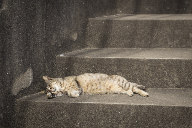 f:id:fubirai:20160505224629j:image