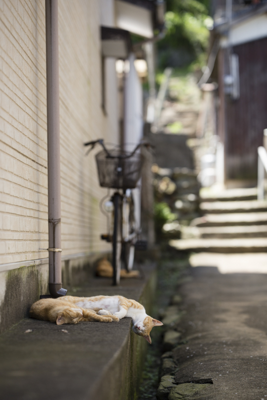 f:id:fubirai:20160708230811j:image