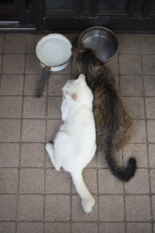 f:id:fubirai:20160918223259j:image