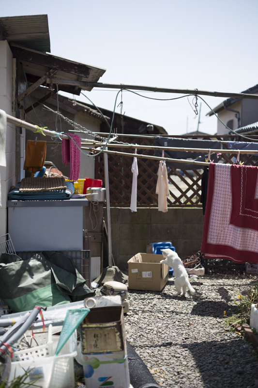 f:id:fubirai:20160918223303j:image