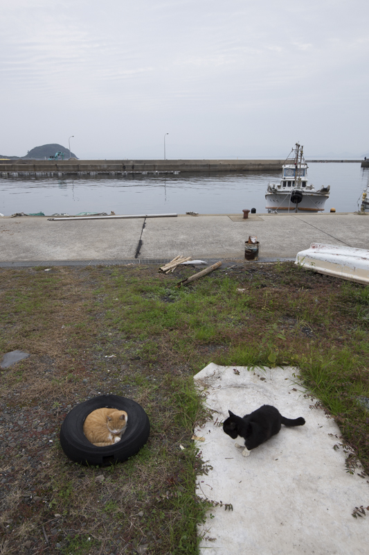 f:id:fubirai:20161221223331j:image