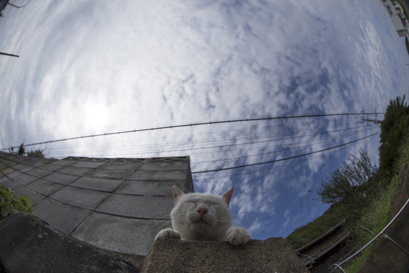 f:id:fubirai:20161223221311j:image