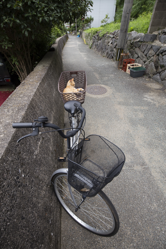 f:id:fubirai:20170722203522j:image