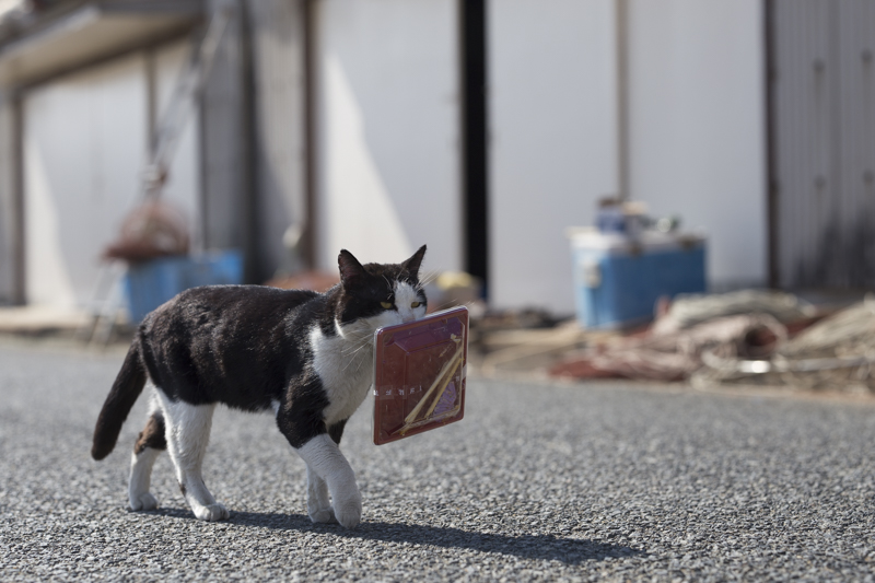 f:id:fubirai:20170916212738j:image