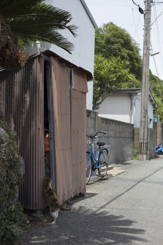 f:id:fubirai:20170920225228j:image
