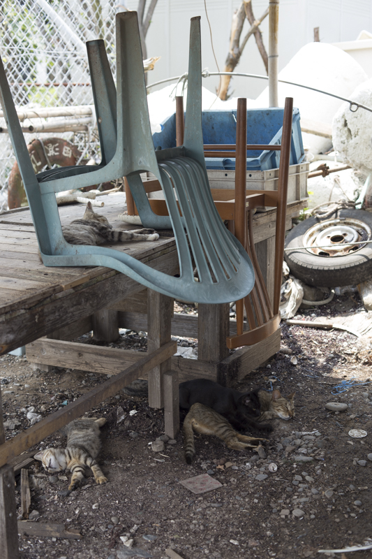 f:id:fubirai:20171101224050j:image