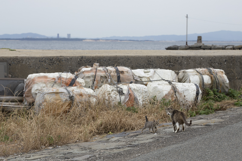 f:id:fubirai:20171107232317j:image