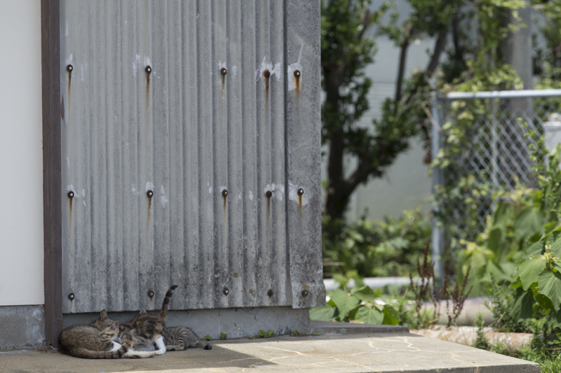 f:id:fubirai:20171113231851j:image