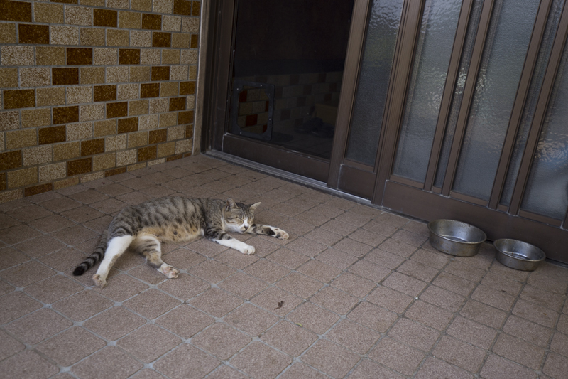 f:id:fubirai:20171117232125j:image