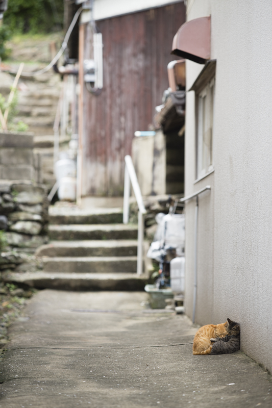 f:id:fubirai:20171223221812j:image